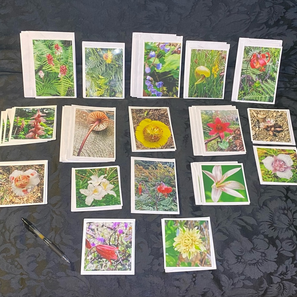 Handmade Blank Native Pacific Northwest Wildflower Greeting Cards
